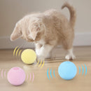 Interactive Ball for Cats